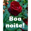 Boa noite Flores 23