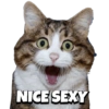 Cats 8