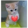 Amor corazon hearts 12