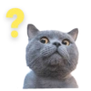 ?