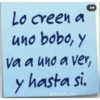 Notas 15