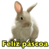 Memes da páscoa 🐇❤️ 9