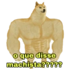 Memes do zap  5