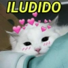 Memes fofos 5