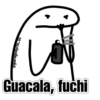 @paraguayita_v1 Guacala, fuchi
