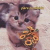 Gatitos para conquistar atu CRUSH para ti mibida Ol@drugs2love