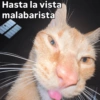 Cómo q me despida bien? 🤨 6
