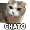 CHATO