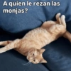 Cómo q me despida bien? 🤨 9