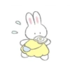Soft 16
