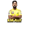 Chennai Super Kings (IPL) 8
