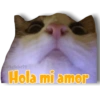 De todo un poco. 9