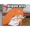 Arigato prro CLE D