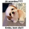 Bom dia engraçado 8