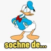 sochne de...