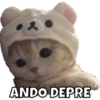 & ANDO DEPRE