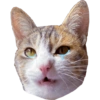 Miaufry Amante 8