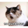 no puede ser