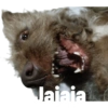 Jsjs 10
