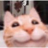 MASCOTA PT. 1 8