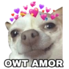 OWT AMOR