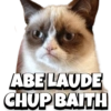 Lauda Meme 8