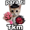 para ti geysioy Tkm