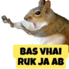 BAS VHAI RUK JA AB