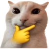 Gatitos para el chat 🫪 2 15