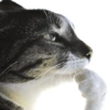 Reaction pic 15