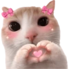 Gatitos para el chat 🫪 2 18