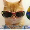 @martincatsu @rii gracias por responderme 7 horas despues, ahora te esperas 2 minutos