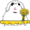 Hamster 🐭 5