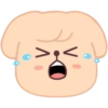 SKZOO | CRY 7