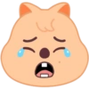 SKZOO | CRY 5