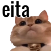 Gatinhos memeiros 🐱 7