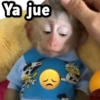 COMBO de Stickers #2⓿ 12