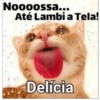 Sapecagens 11