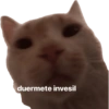 Shitpost3 27