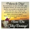 Bom dia 8