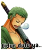 One piece indonesia 10