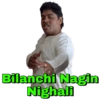Bilanchi Nagin
Nighali