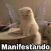 @Harley_Stickers er Manifestando