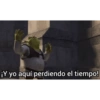 Memesitos Shrek💚 15