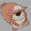 Random & Furry 17