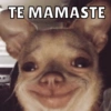 TE MAMASTE