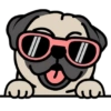 🐾Pug🐾 5