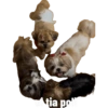 Kkk 16