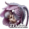 Magic bunny sleeping 🐰💤✨️ 8