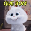 QUE BOM